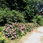 Holiday home Feriendomizil Nordschwarzwald