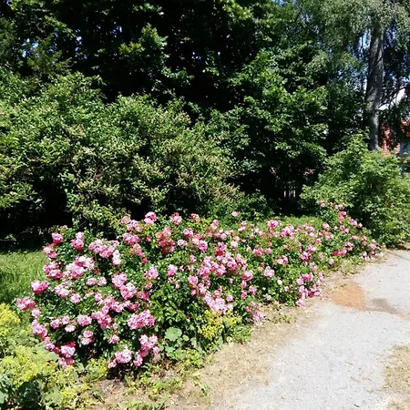 Holiday home Feriendomizil Nordschwarzwald Neuweiler (Calw)