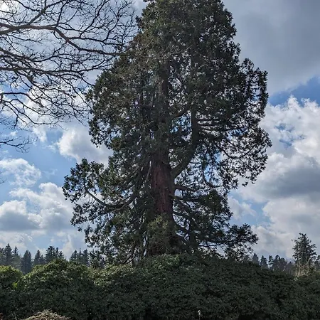 Holiday home Feriendomizil Nordschwarzwald